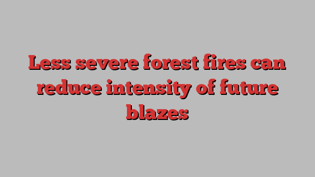 Less severe forest fires can reduce intensity of future blazes