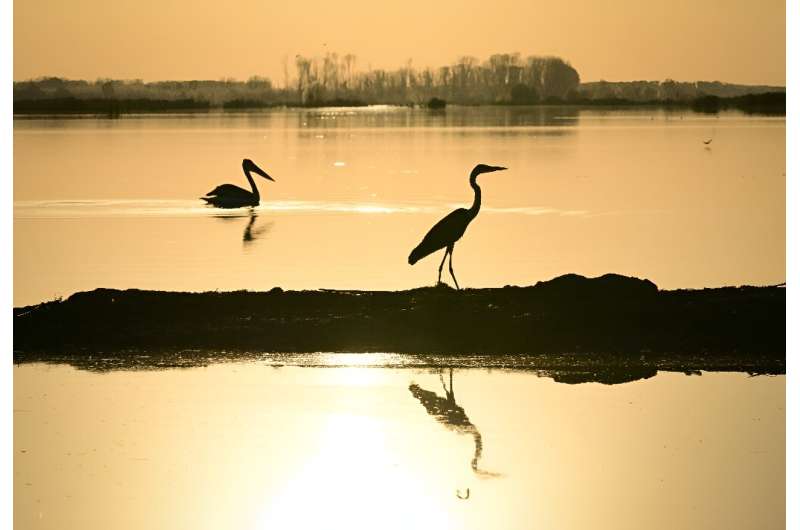 While many welcome the return of wetland wildlife to the delta, local authorities are bracing for battle with farmers who want it drained again