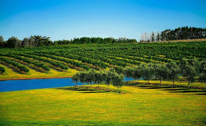 irrigation canals