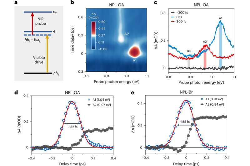 Researchers observe Floquet states in colloidal nanoplatelets driven by visible pulses