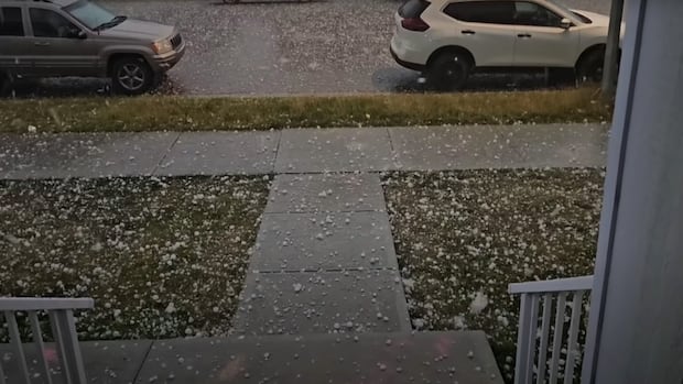 Large hail on a lawn and sidewalk. 