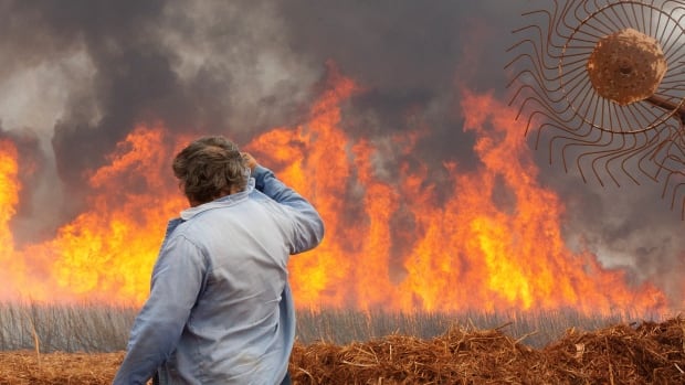 Brazil is on fire, and both crime and climate change are to blame