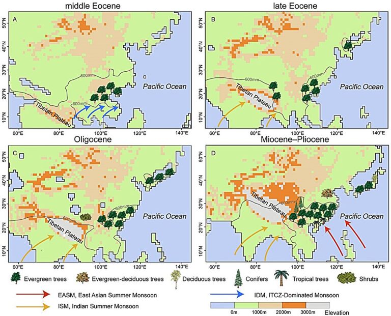 Heterogeneous occurrence of evergreen broad-leaved forests revealed by plant fossils in East Asia