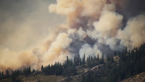 Canadians should be prepared for more wildfires and hurricanes: Environment Canada