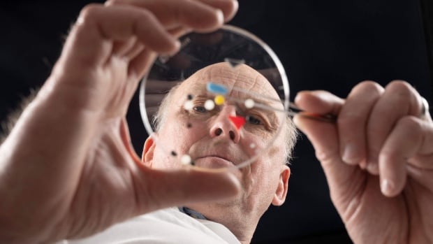 The ‘godfather’ of microplastics research says we need to move faster to solve our plastic problem