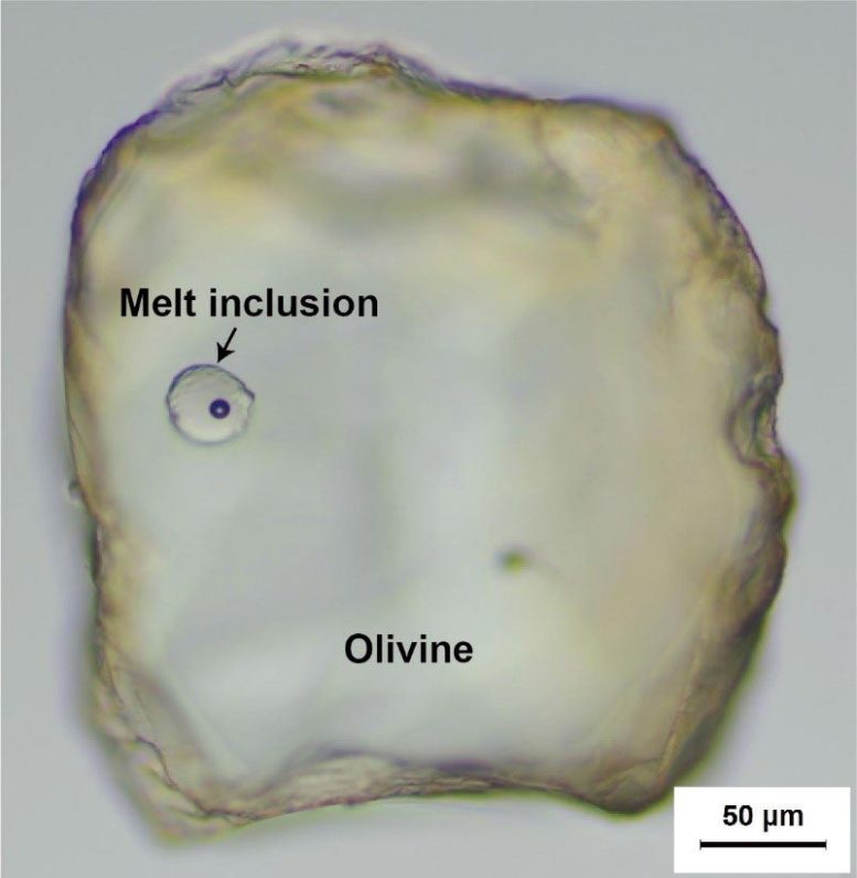 Olivine Hosted Melt Inclusions