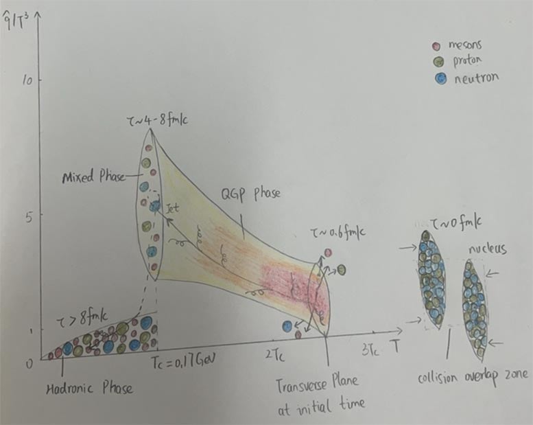 Temperature Dependence of Jet Transport Coefficient Schematic