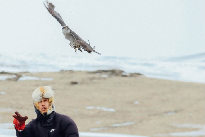 A man working a bird of prey