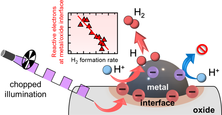 ST Electrons Contribute to Photocatalytic Hydrogen Evolution Reaction