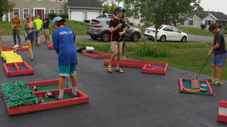 WATCH | #TheMoment a 12-year-old created a mini-golf course on his driveway