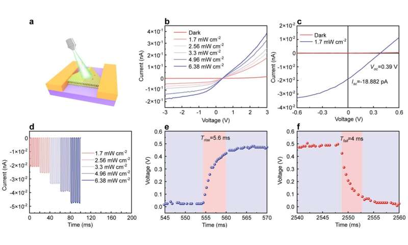 Patterned doping for constructing 2D lateral p-n junction via ion implantation