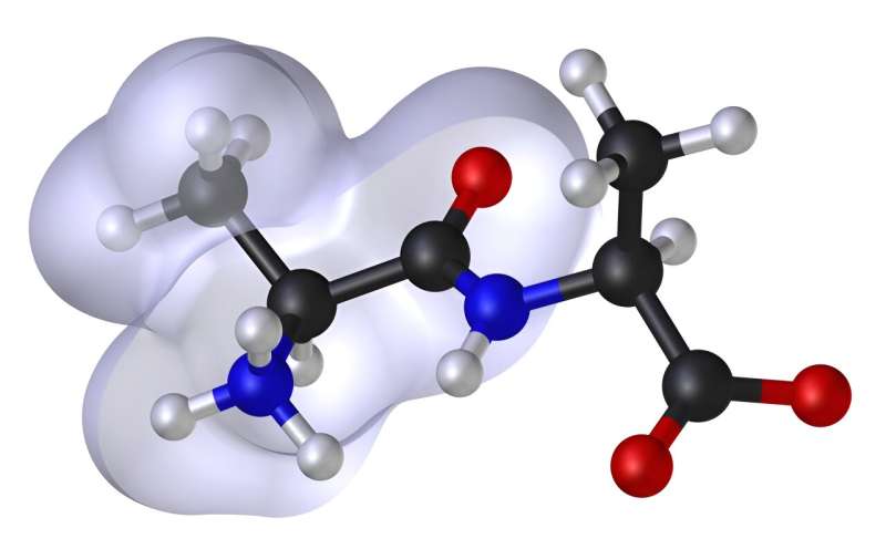 Exploring peptide clumping for improved drug and material solutions