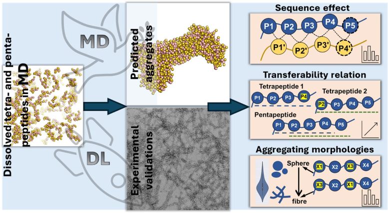 Aggregation Rules of Short Peptides