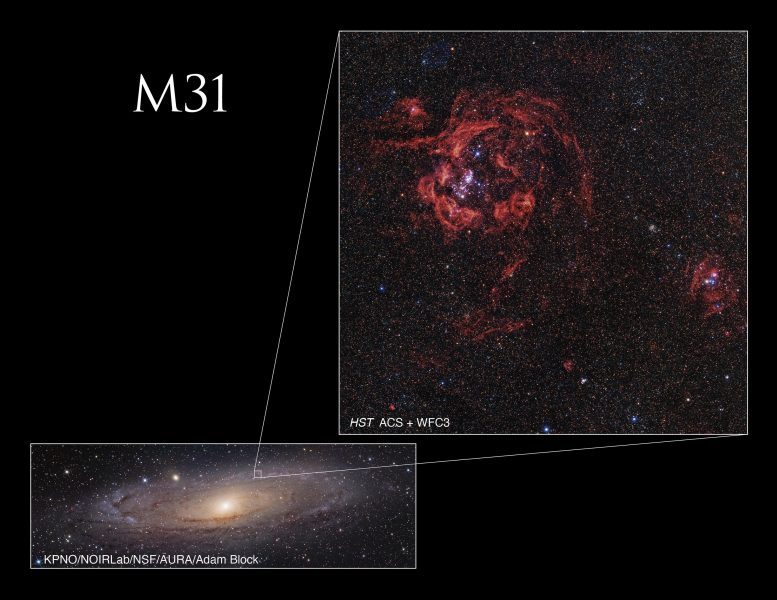 Hubble Andromeda Cosmic Bouquets M31