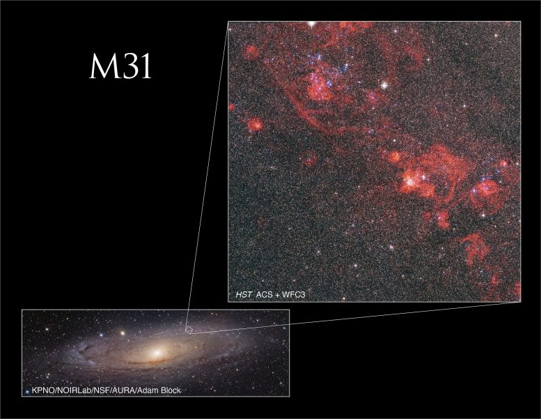 Hubble Andromeda Galaxy Star Clusters M31