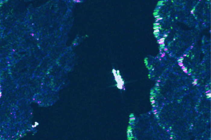 Radar image captured on 30 August showing a vessel matching the Everest Energy alongside