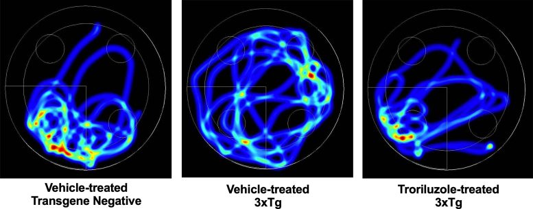 Heatmap Visualization of Spatial Occupancy