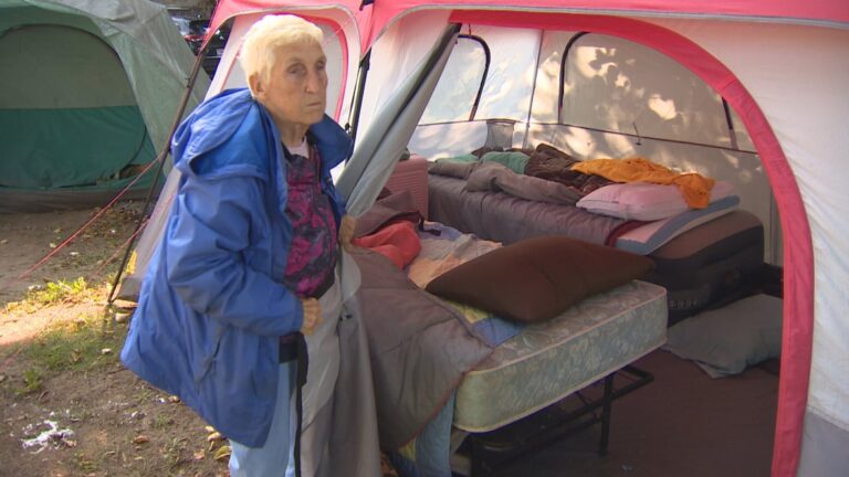 WATCH | Senior couple living at Halifax homeless encampment desperately seeking housing