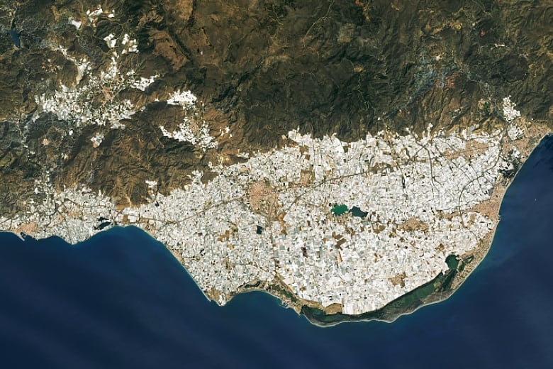 A satellite images shows a rocky coast where a massive sea of white greenhouses cover the land surface. 