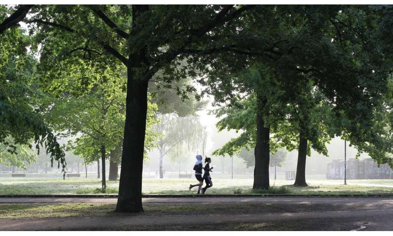 Urban forests reduce heat-related mortality, study shows