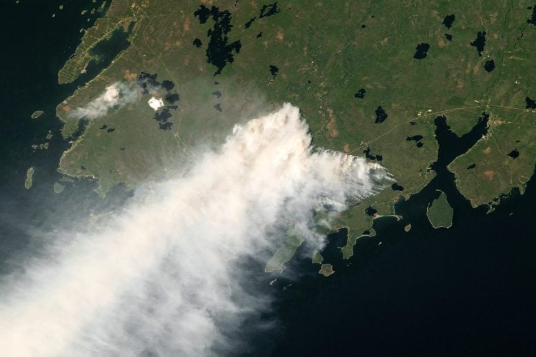 Wildfire Smoke From Nova Scotia Billowing Over the Atlantic Ocean From ISS