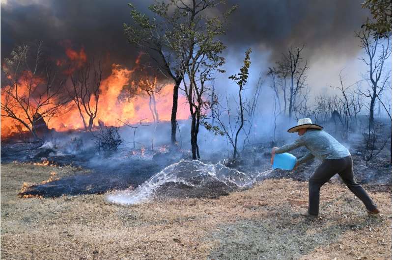 A resident near Brasilia National Park fights the forest fire that is raging in the park so that it doesn't reach  homes in Brasilia, Brazil, on September 15, 2024