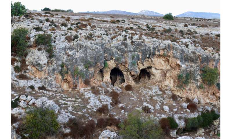 Unravelling an ancient European extinction mystery: Disappearance of dwarf megafauna on palaeolithic Cyprus