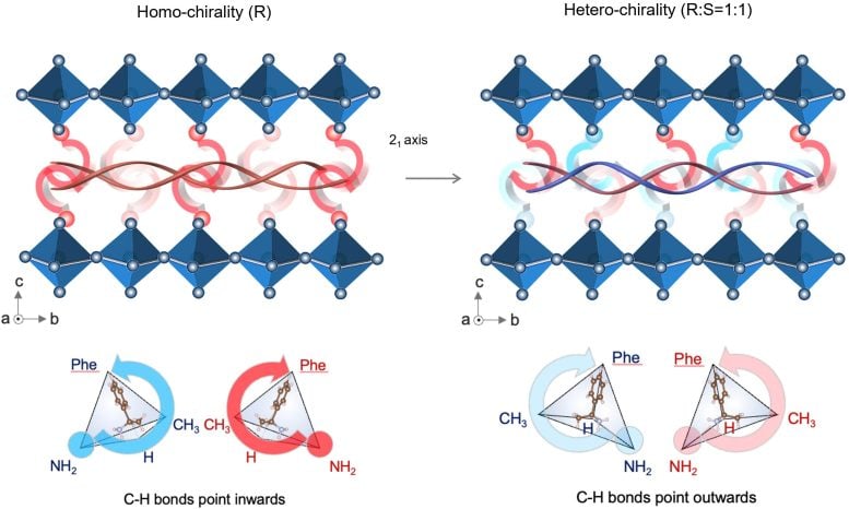 Schematics of Homochiral and Heterochiral Interface Modification Concepts