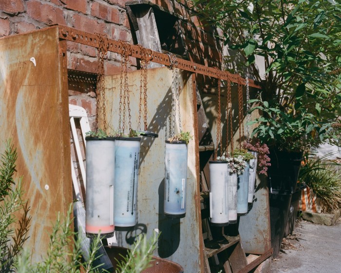 Long plastic tubes, hanging by chains from a metal frame in an alleyway, have been converted into flower pots