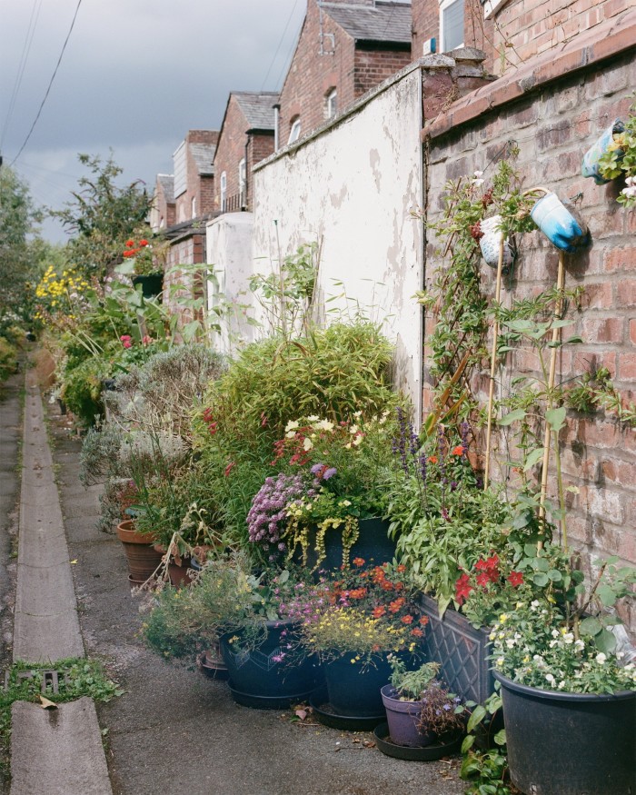 An alleyway in between two rows of terraced houses, filled with potted plants and flowers