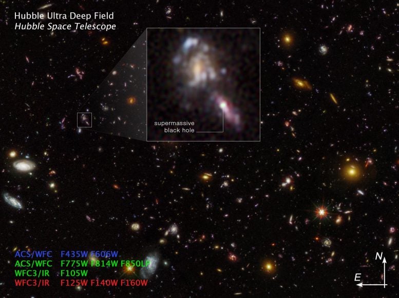 Supermassive Black Holes in Hubble Ultra Deep Field Compass Image