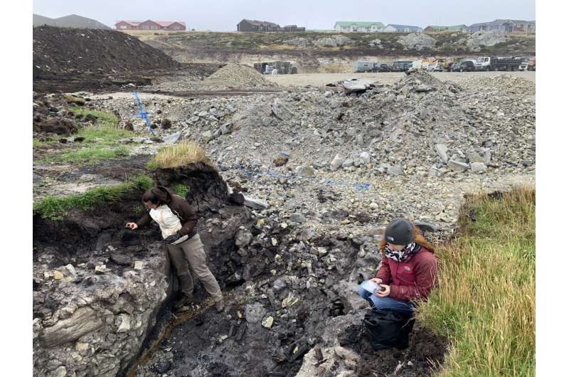 Rugged Falklands landscape was once a lush rainforest