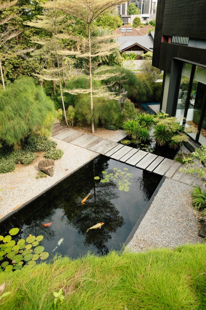 A pool with koi carp swimming in it, surrounded by trees and other plants