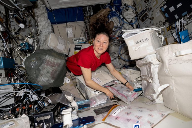 Astronaut Tracy Dyson Unpacks and Examines Research Gear