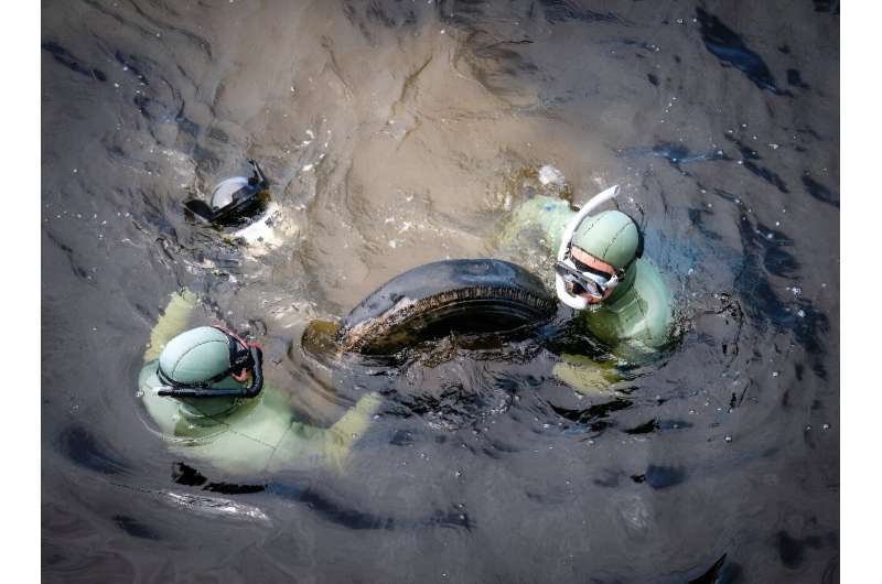 Members of the Blue Organization team remove a tire from the waters of the Saguenay Fjord