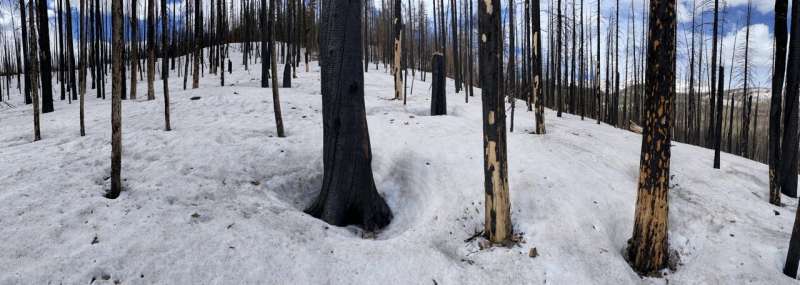 Location, location, location: Snowpack storage and runoff timing in burn scars depend on site and terrain