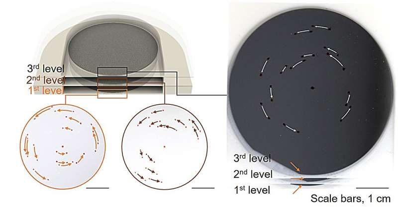 Magnetic Micro Spinbots Revolutionize Ultraprecision Polishing and Cleaning