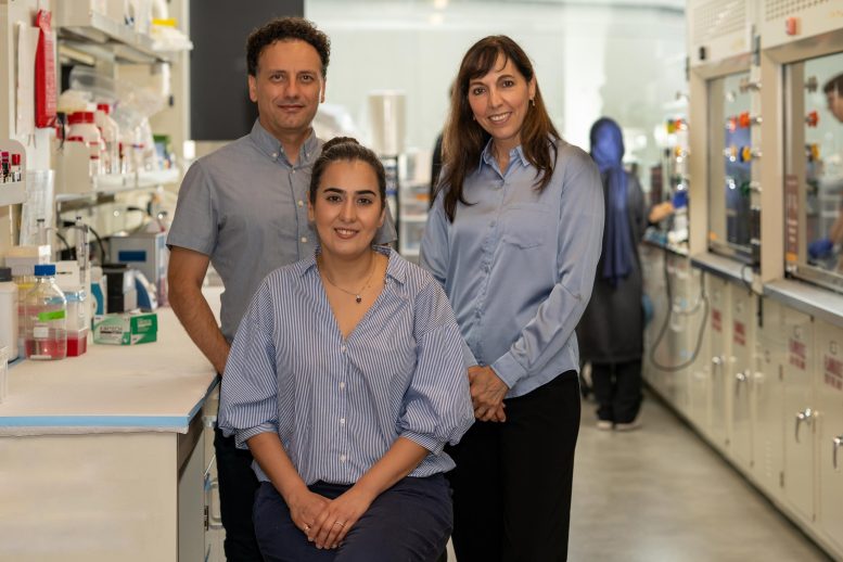 Tohid Didar, Sara Rahmani, and Elena Verdu