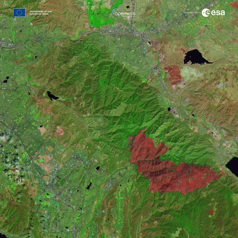 Wildfire in California Captured by Sentinel-2C in False Color