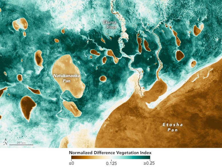 Etosha National Park False Color 2024 Annotated