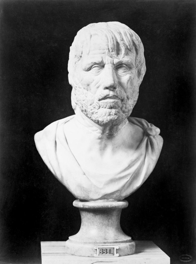 Seneca Bust