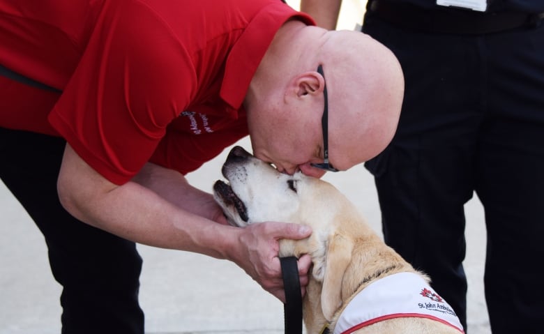 A yellow lab gets a kiss from a man