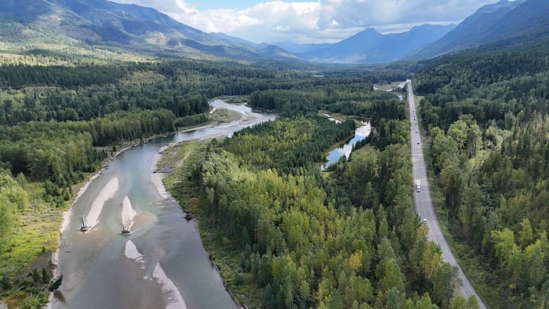 Pictured is the Elk River in Fernie, B.C. on September 13, 2024. The Elk River is at-risk of whirling disease. 