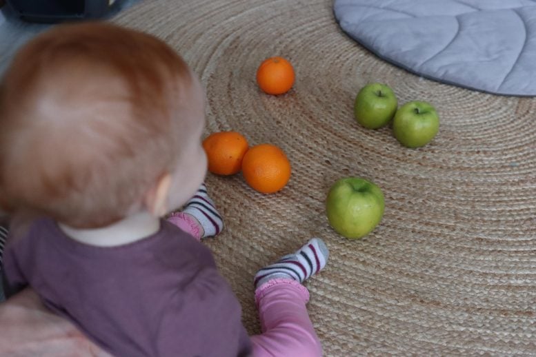 Baby Observing Sets of Fruit