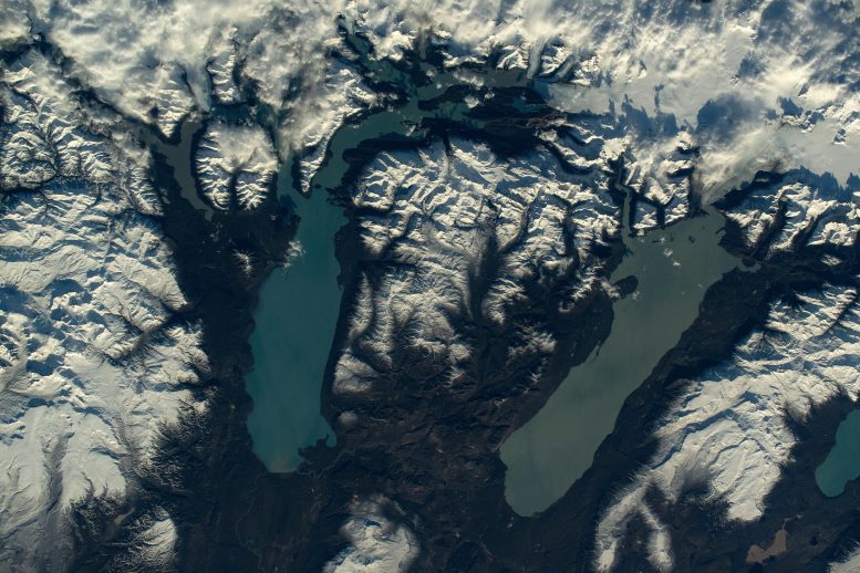 Lakes Argentino and Viedma From Space Station