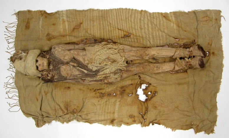 Tarim Mummy From Xiaohe Cemetery