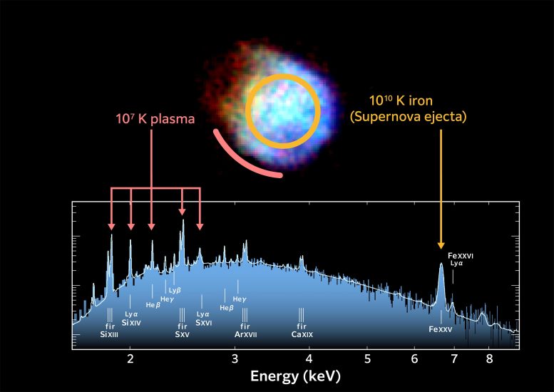 Scorching Hot Iron Within Supernova Remnant N132D