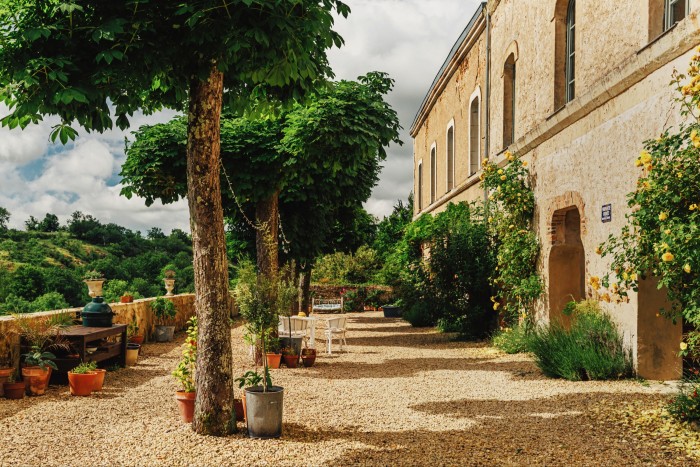 Climbing roses and wisteria on the terrace