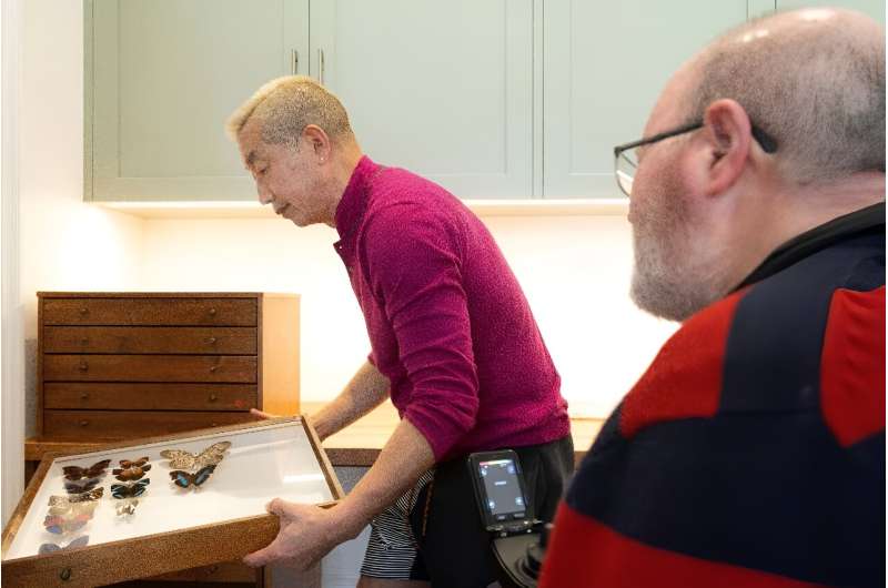 James Hu (L), McCarthur's husband and carer, opens a drawer with a collection of butterflies at their house in Karori, a suburb of Wellington