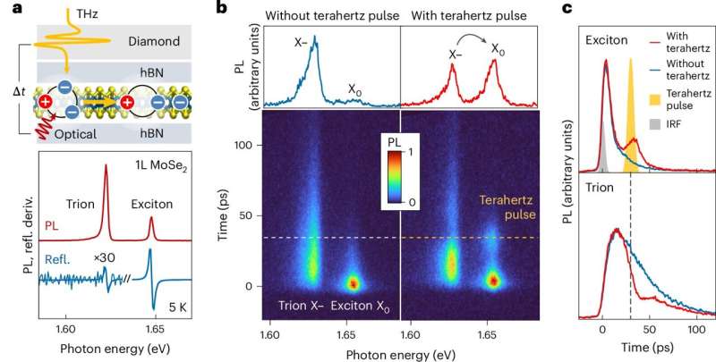 Research team succeeds in ultra-fast switching of tiny light sources